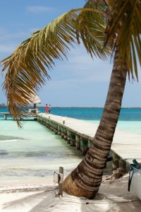 Relax under a palm tree on the beach at our Belize all inclusive private island
