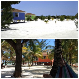 Coco Plum vegetation and landscape - then & now!
