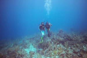 Diving along the Belize Barrier Reef!