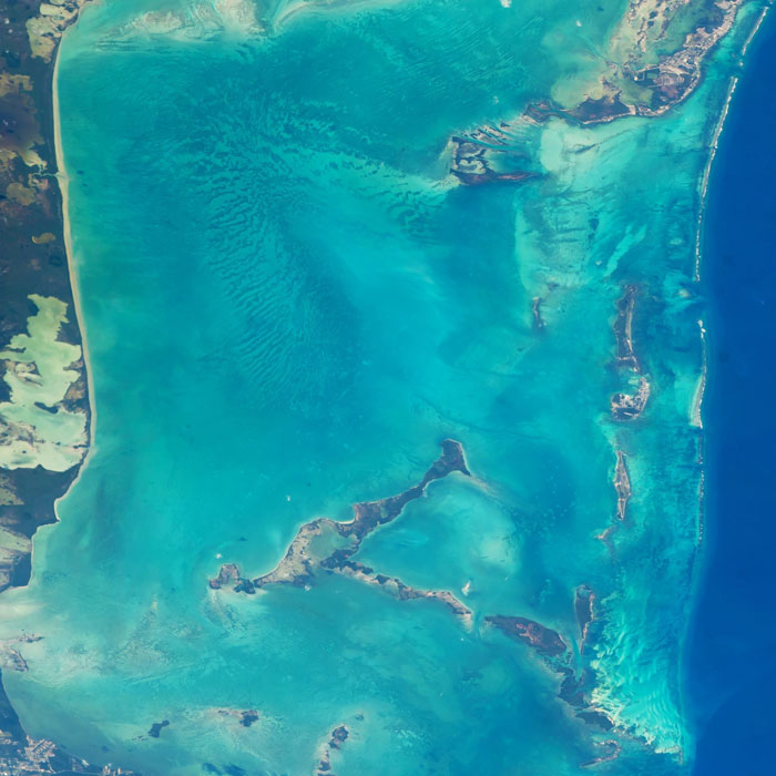 NASA Astronaut Jeff Williams spots Belize coral reef from space!