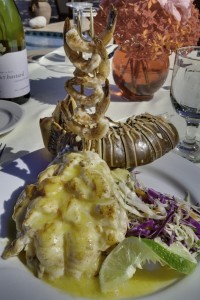 Enjoy our full course Lobster dinner at Coco Plum Island Resort