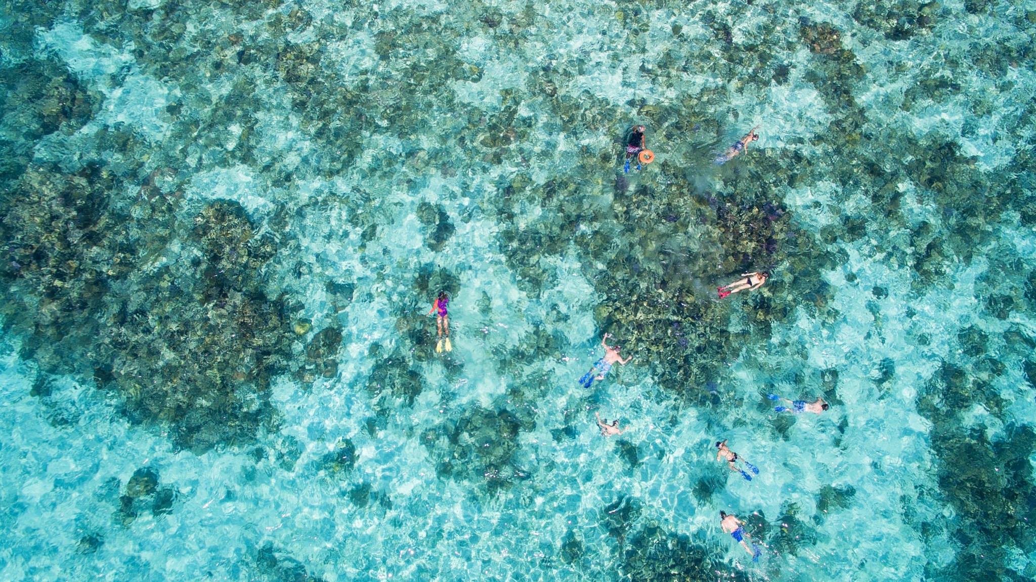 belize-snorkeling-tours