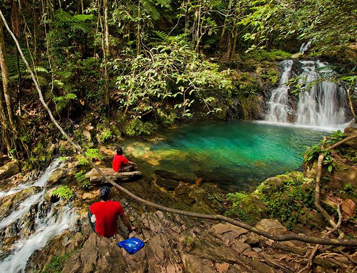 mayflower-waterfall-jungle-hike