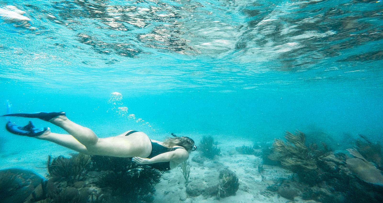 See the Belize Barrier Reef