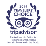 TripAdvisor 2019 Traveler’s Choice Award