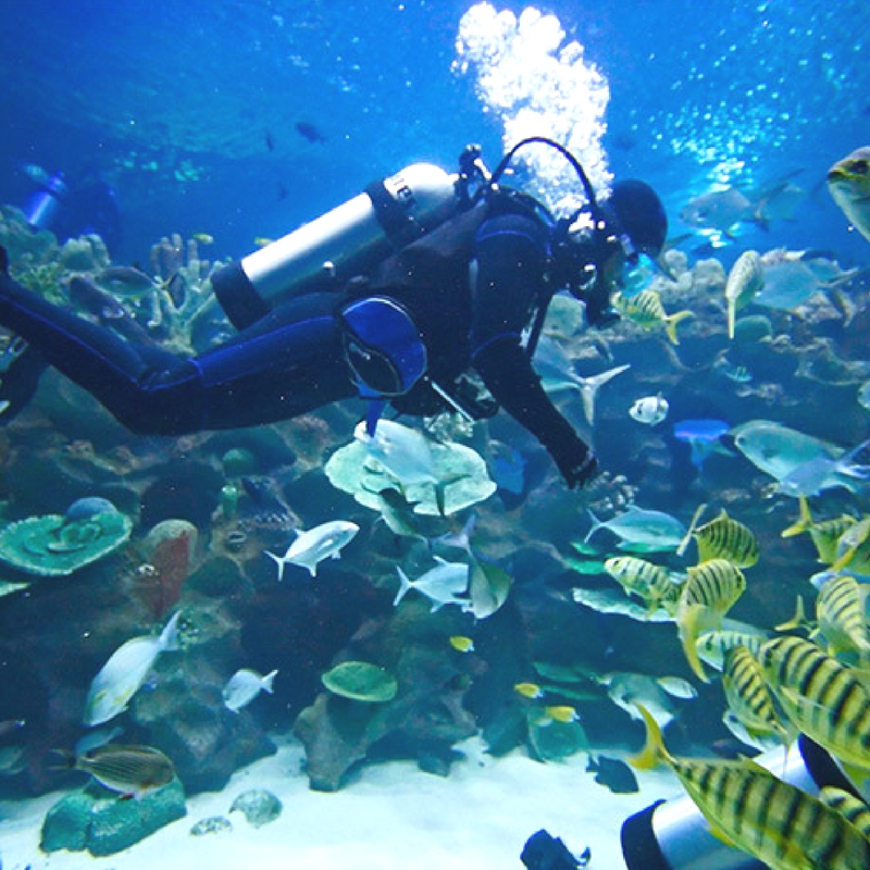 Belize-All-Inclusive-Diving-Package