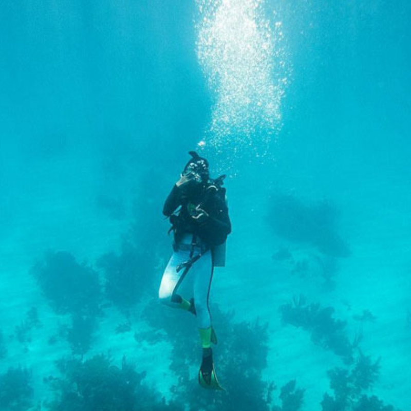 How about a adding Belize diving tours to your winter vacation?