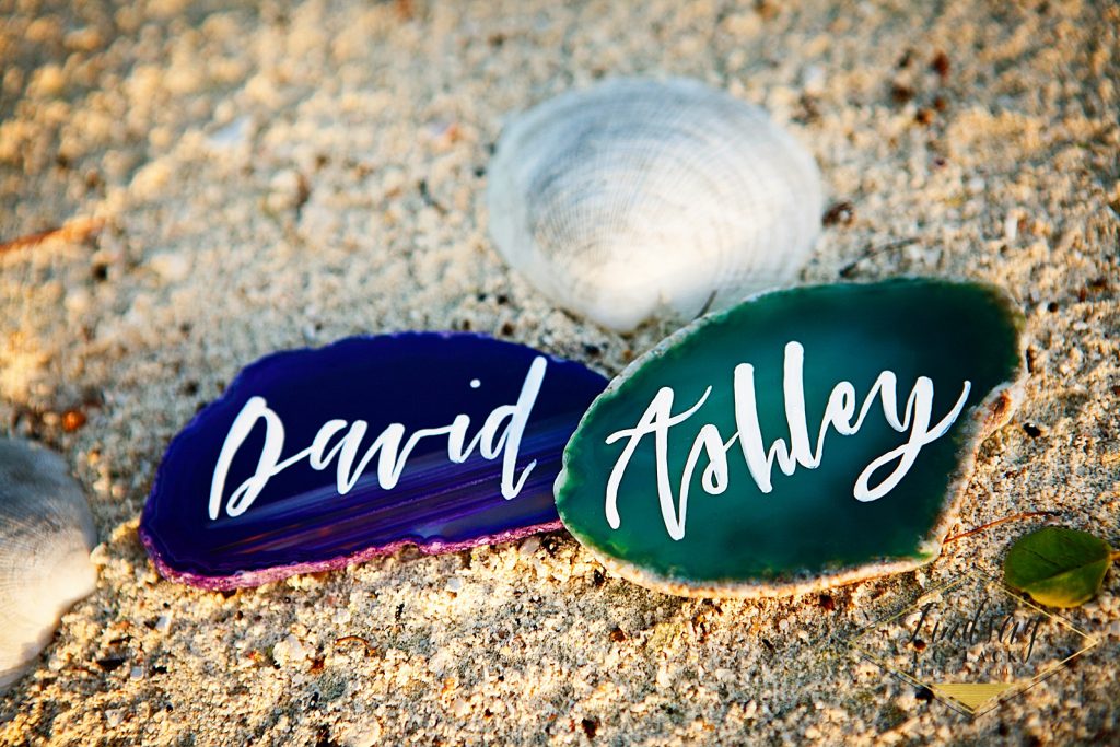 David and Ashley's Belize beach wedding logo