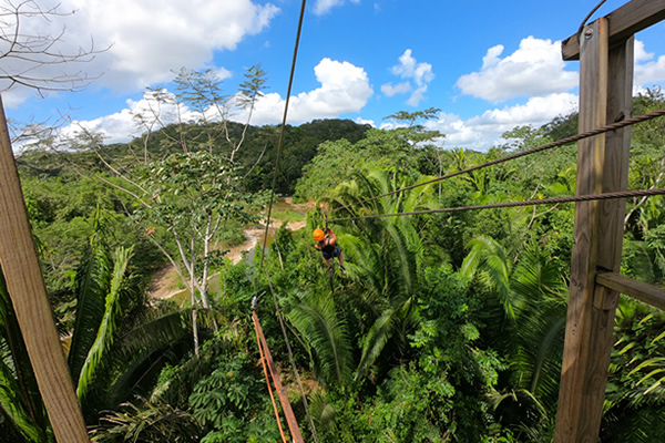 belize jungle vacations