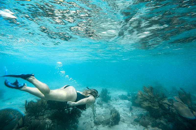 snorkeling in belize