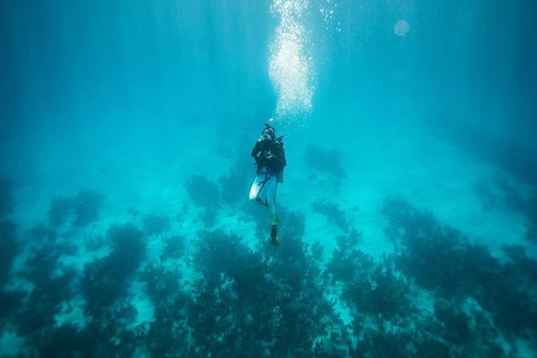 Belize Where the Ultimate in Scuba Diving Never Disappoints
