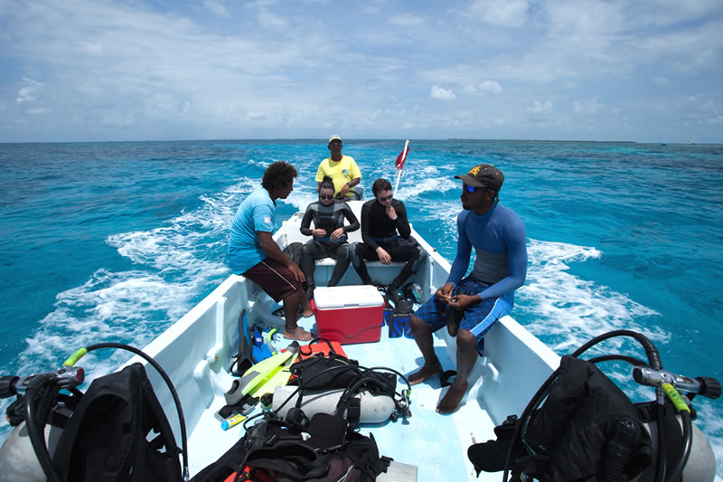 scuba diving belize trips