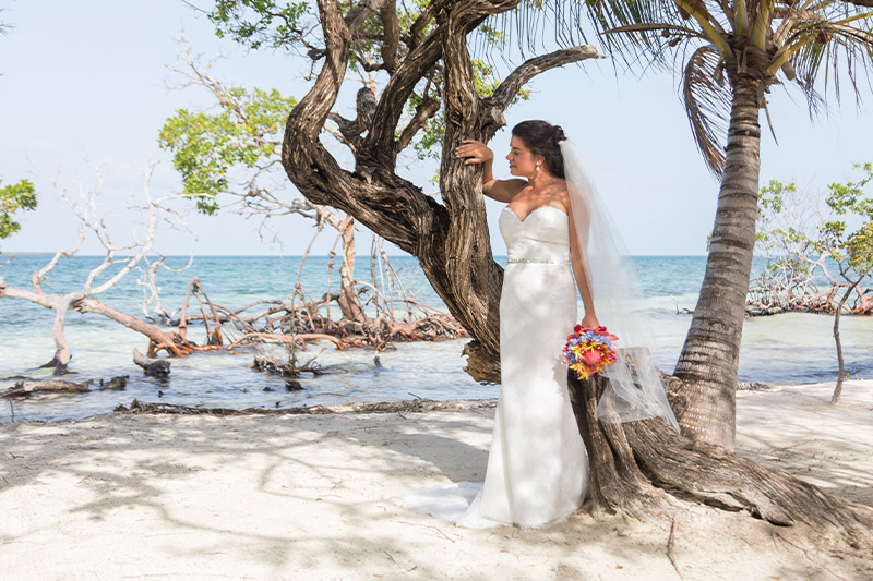 All Inclusive Weddings and Honeymoons