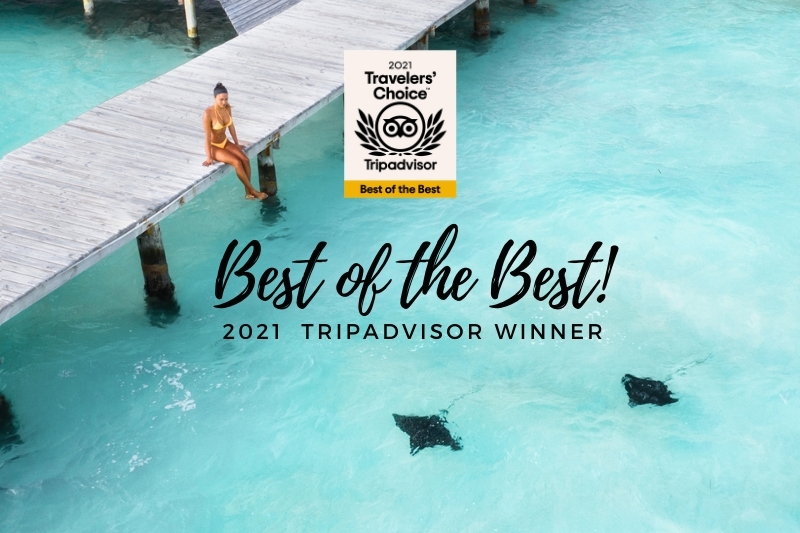 award winning belize resort