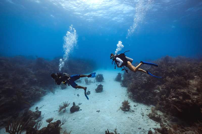 Belize Diving Vacations