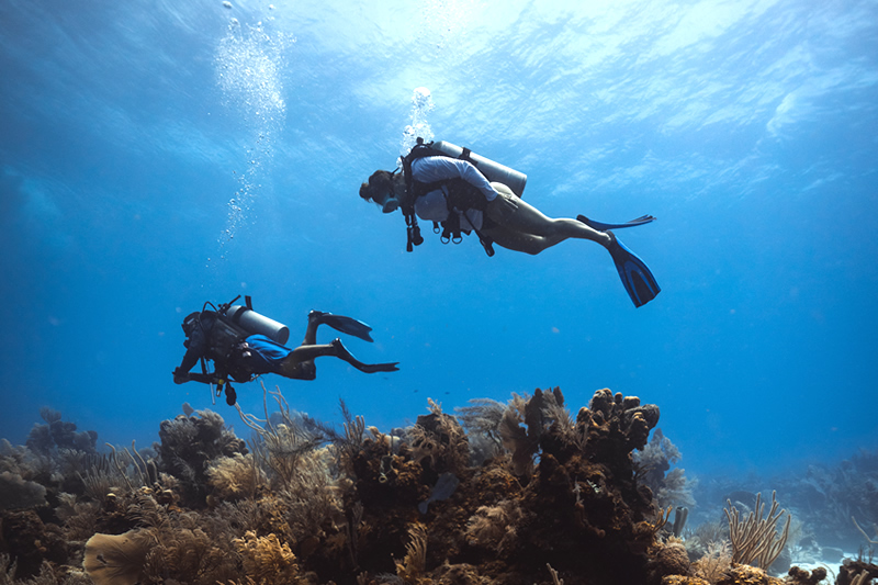 Belize Scuba Diving Vacations All Inclusive