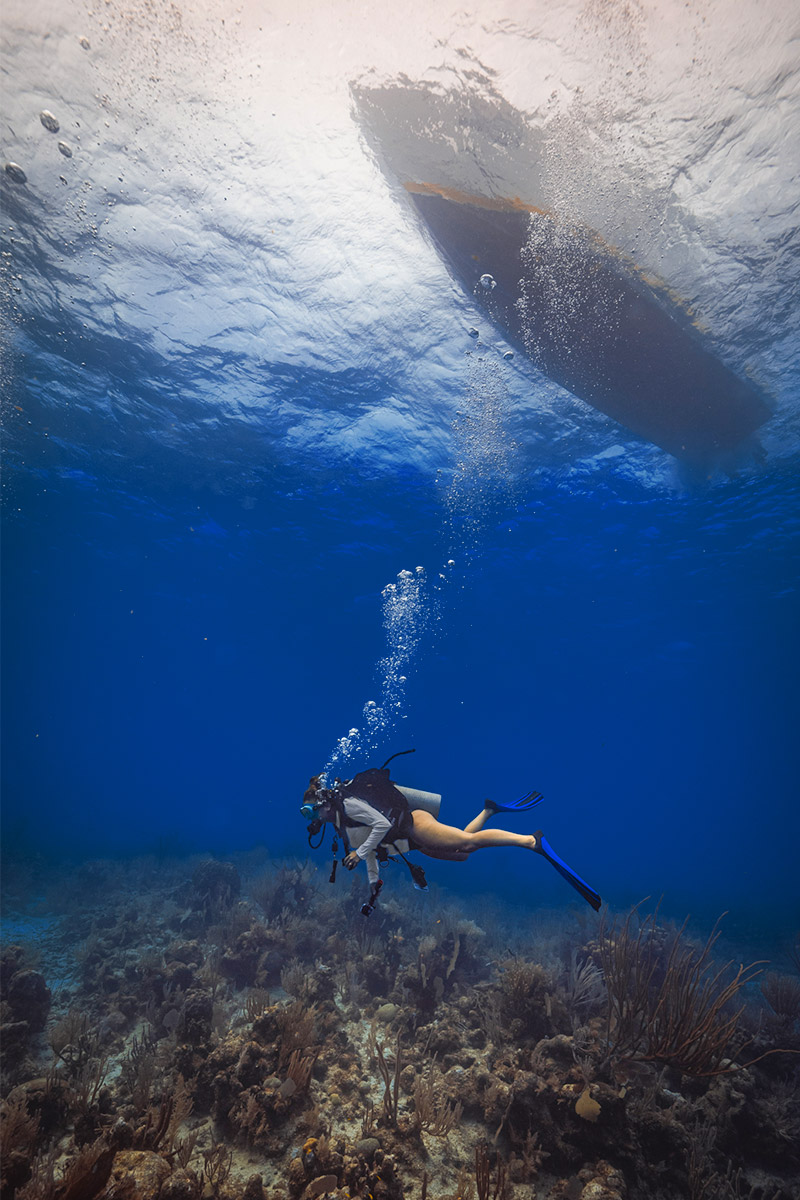 Belize Barrier Reef Vacations