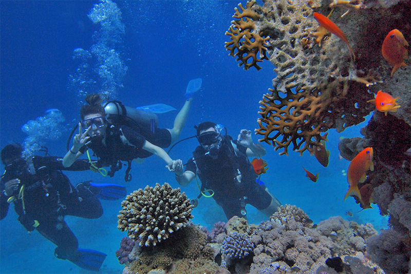 Belize diving vacation