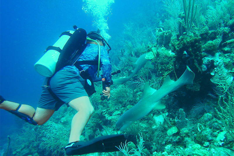 Scuba Diving in Belize