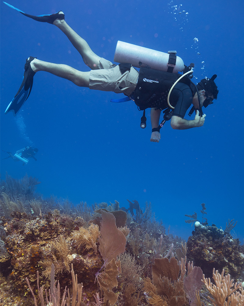 Belize Scuba Trips