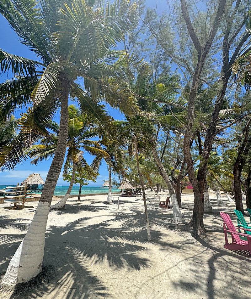 tropical island getaway