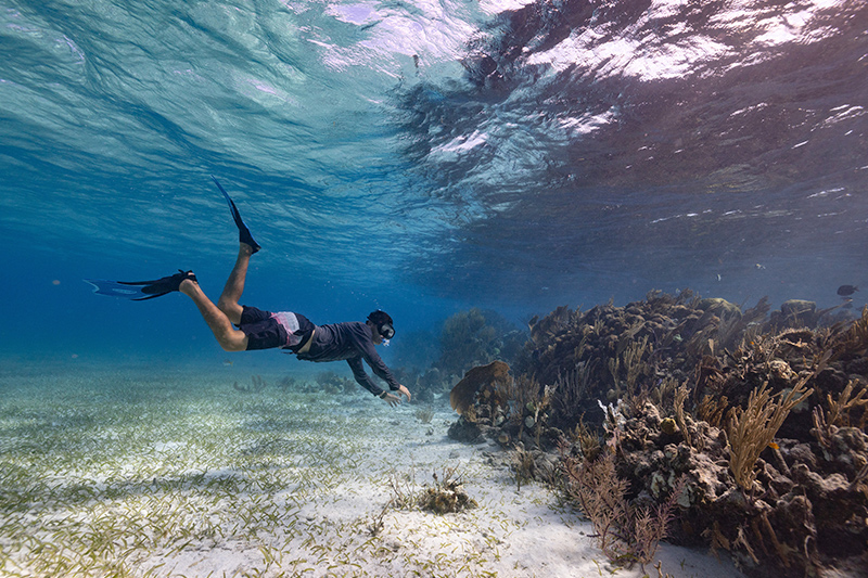 private Belize island diving
