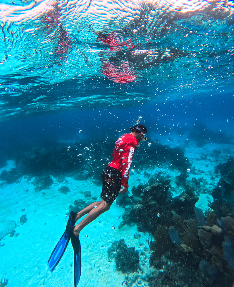 Belize Barrier Reef snorkeling