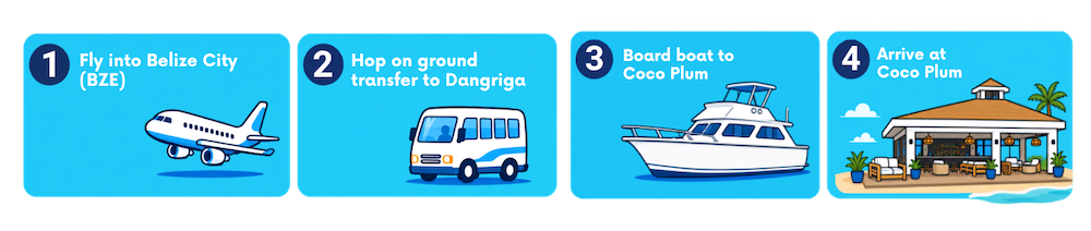 Getting to Coco Plum infographic