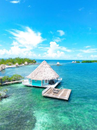 Belize Overwater Bungalow - Drone