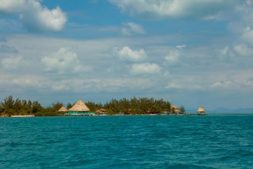 Coco Plum Cay, Belize